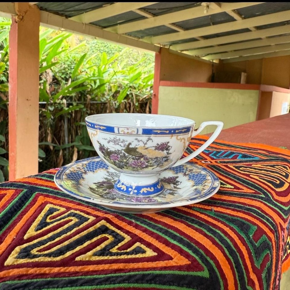 PACI Fine Porcelain‎ Peacock Cup & Saucer Set Chinoiserie Asian Style Tea Mug